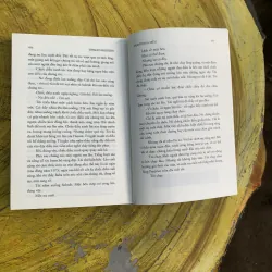 COMBO NGƯỜI ĐUA DIỀU & NGÀN MẶT TRỜI RỰC RỠ 745813