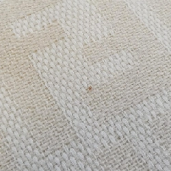 Túi xách vai Fendi Baguette 26424 - Hàng hiệu Chính hãng 802536