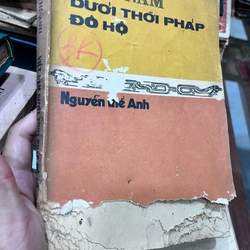 Việt Nam thời Pháp đô hộ - Nguyễn Thế Anh