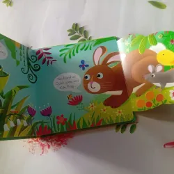 Usborne Lift-the-Flap: Play Hide & Seek with Bunny 1024809