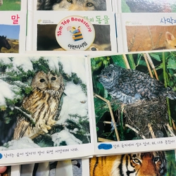𝐒𝐚́𝐜𝐡 𝐚̉𝐧𝐡 𝐯𝐞̂̀ 𝐭𝐮̛̣ 𝐧𝐡𝐢𝐞̂𝐧 tiếng Hàn 사진으로 보이는 자연 이야기  496926