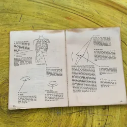  COMBO BẤM HUYỆT CHỮA BÁCH BỆNH & BẤM HUYỆT CÁCH CHỮA VÀ SỰ ÍCH LỢI 786867