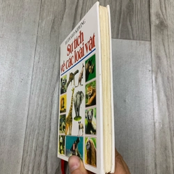Sự tích về các loài vật. 999 466354