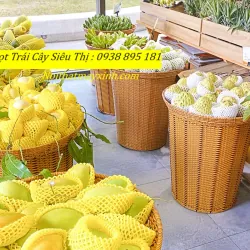Giỏ mây trưng bày trái cây siêu thị cao 60 674842