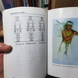 Giải phẫu tạo hình 700937