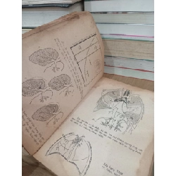 Ung thư học lâm sàng - Nguyễn Chấn Hùng