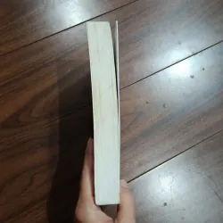 Chú chó nhìn thấy gì 757431