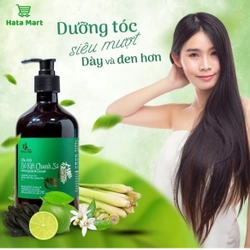 Dầu gội đầu 323322