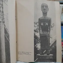 NGHỆ THUẬT TƯỢNG GỖ DÂN GIAN TÂY NGUYÊN  712390