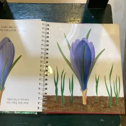 Những khám phá đầu tiên của tớ - Hoa - nhã nam 2018  1027415