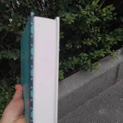 Các dân tộc ít người ở Việt Nam ( các tỉnh phía Nam )  1001906