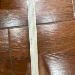 Mãi mãi tuổi hai mươi (k1) 479020