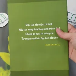 Chủ Tịch Hồ Chí Minh: Chúng Ta Học Gì 928559