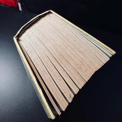 Từ điển tiếng Việt 453453