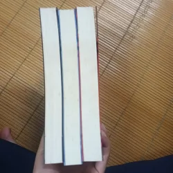 Bộ 3 cuốn Đấu trường sinh tử+ Húng nhại+ Bắt lửa- Suzanne Collins 968648