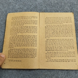 BỈ VỎ - NGUYÊN HỒNG 479751