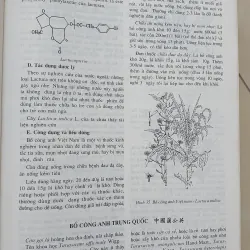 CÂY THUỐC VỊ THUỘC VIỆT NAM  931945