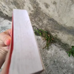 Bí mật gia đình tiểu thuyết của Irène Frain  1005704