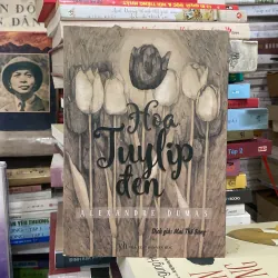 Hoa Tulip Đen♟️ 971426