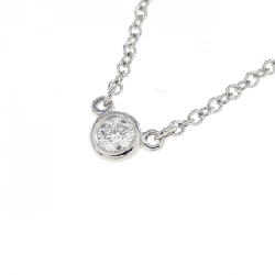 Dây chuyền Tiffany By The Yard - Hàng hiệu Authentic 841721