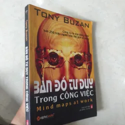 Bản đồ tư duy trong công việc (Mind Maps at Work) 🌱