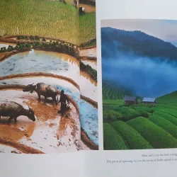 Việt Nam Hạnh phúc - HAPPY VIETNAM 711956