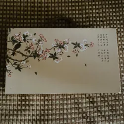 Vỏ hộp bánh Trung Quốc  749556