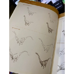 The Sketch Encyclopedia 527006