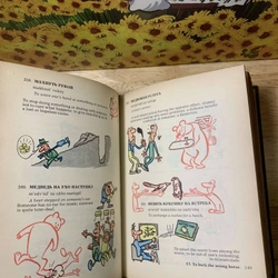 A Book of Russian Idioms Illustrated - M.I. Dubrovin 542014
