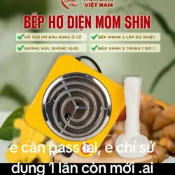 Máy hơ điện sau sinh  1036066