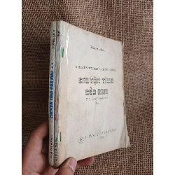 Chuyện tình của anh (Bộ 2 tập) - Hồng Anh 2008 mới 70% mất bìa (Sách văn học) HLSC060526