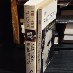 Combo Nietzche 1047078