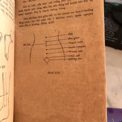 Phương pháp dưỡng sinh - BS Nguyễn Văn Hưởng 991357