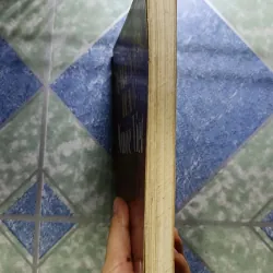 Truyện hay nước Việt - Đinh Gia Khánh 1006256