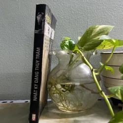 Nhật ký Đặng Thuỳ Trâm 763056