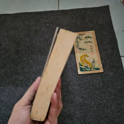 Madame Nhu Trần Lệ Xuân, Quyền lực bà rồng - bản in đầu bị thu hồi 737187