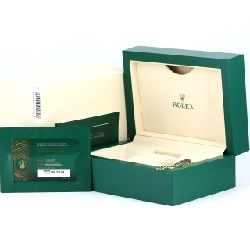 Đồng hồ Rolex Datejust 126231･3 SSxPG tự động - Hàng hiệu Authentic 882750