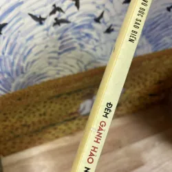 Đêm Gành Hào Nghe Điệu Hoài Lang - Vũ Đức Sao Biển 961388