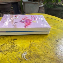 Combo Nguyễn Nhật Ánh