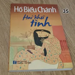 Hai khối tình - Hồ Biểu Chánh