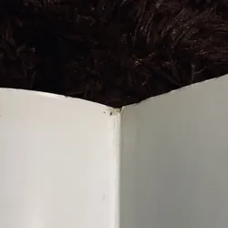 Đêm núm sen (có bookmark) 738863