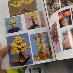 Kỹ Thuật Trồng Hoa Kiểng - Huỳnh Văn Thới 727272