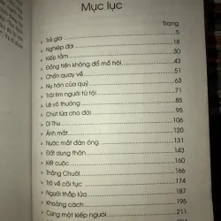 Trở về cõi tục - Trầm Nguyên Ý Anh 1011125