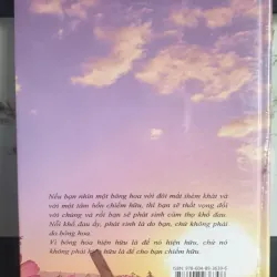 Hương Giữa Gió Ngàn - Thích Thái Hòa 690935