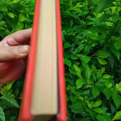 Ong mật phục vụ con người  của Ioiris  999669