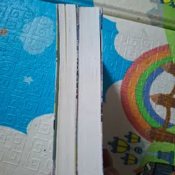 Viên Tiên Sinh Luôn Không Vui (bộ 2 tập) 787630