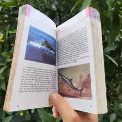 Từ Điển Tranh Về Các Con Vật - Lê Quang Long 753786