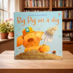 Usborne - Big Pig on a Dig 797193
