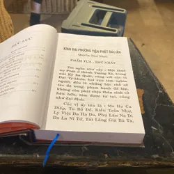 Kinh Đại Phương Tiện Phật Báo Ân- Thích Chính Tiền 692591