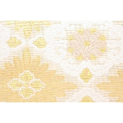 Bộ túi và dép zori kích thước L - Hàng hiệu Authentic 884245